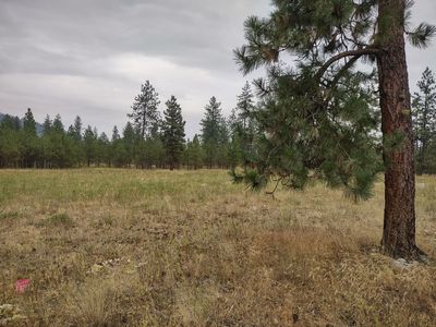 7534 Kimberly Drive Way, Ford, WA, 99013