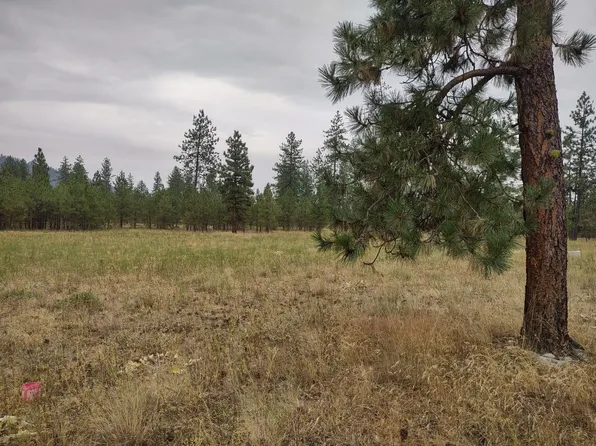 7534 Kimberly Drive Way, Ford, WA 99013