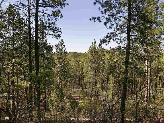 5th image of 102 Cabin Creek Dr