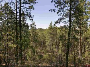 10 Boulder View Dr, Durango, CO 81301