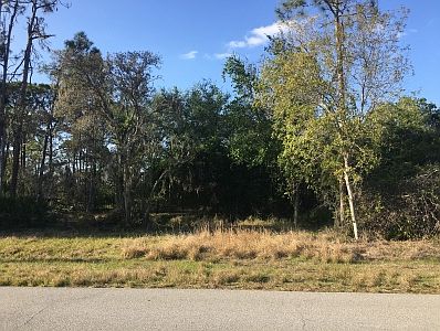 2nd image of 4216 Skipper Rd