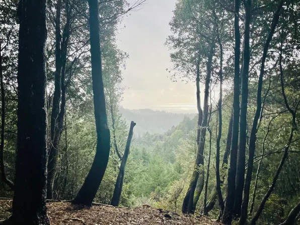 691 Muskrat Cir, Whitethorn, CA 95589