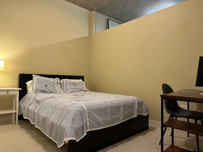 700 N Larrabee St #812 — Photo 10