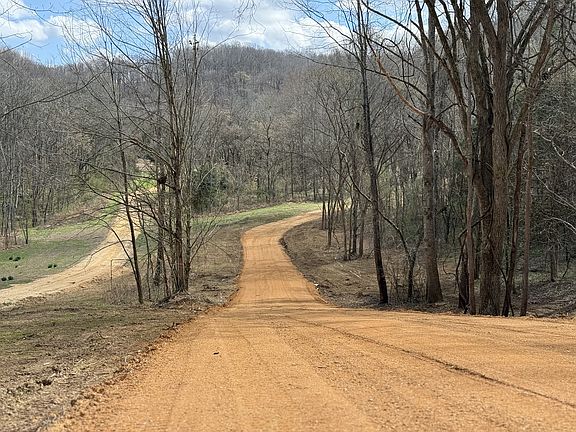 4th image of 0 Preacher Holt Rd Lot 3