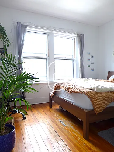 15 Alton Pl #1 Photo 1