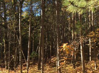 Bennett Rd, Topinabee, MI 49791