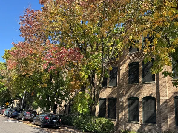 5235 N Ravenswood Ave APT 11, Chicago, IL 60640