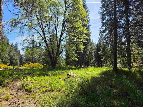 LOT 79 Panther Meadow Dr, McCloud, CA 96057