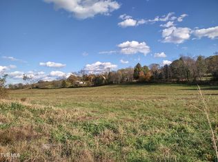 Springfield Dr, Meadowview, VA 24361