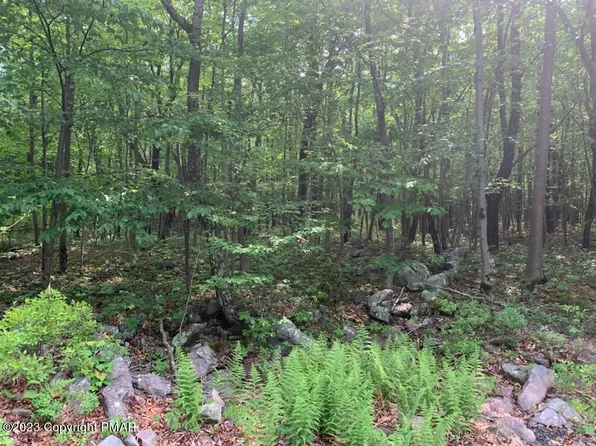 LOT -A249 Maple Ln, Jim Thorpe, PA 18229