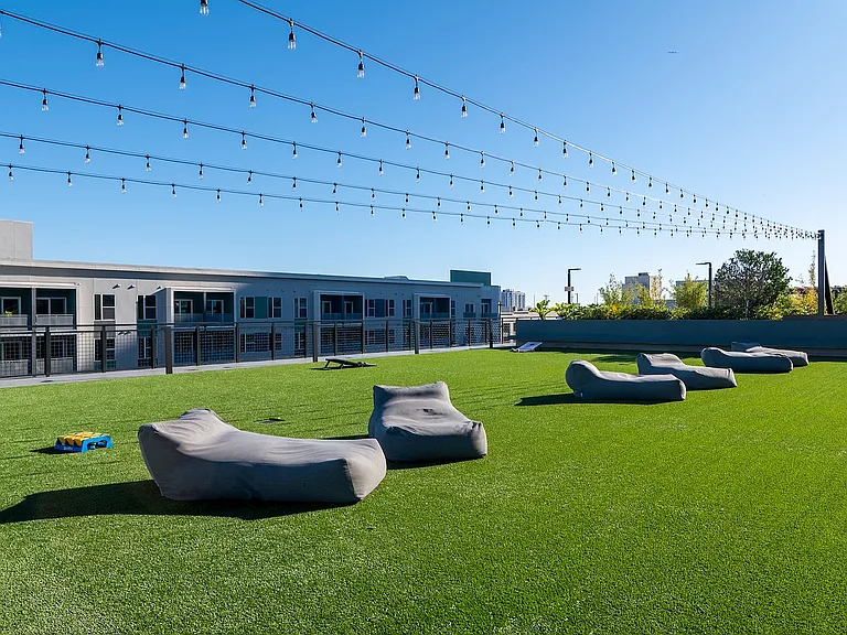 Lawn