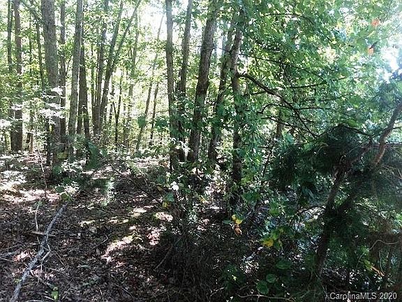 4th image of Cherrywood Dr