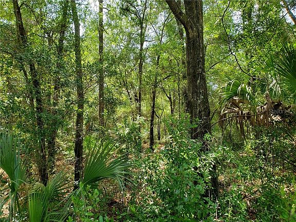 4th image of 8433 N Ocoee Ter