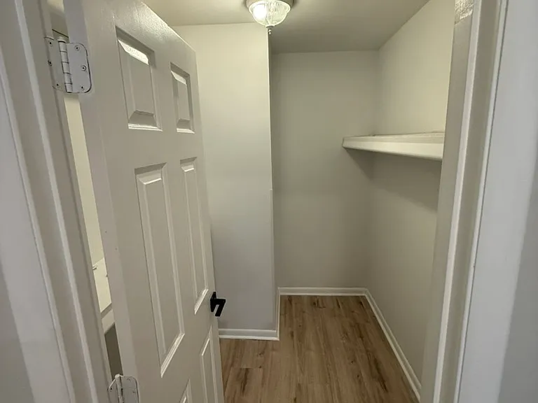 Downstairs master closet