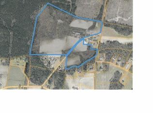 Joyner Swamp Rd, Galivants ferry, SC 29544