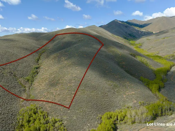 Lees Gulch Rd, Bellevue, ID 83313