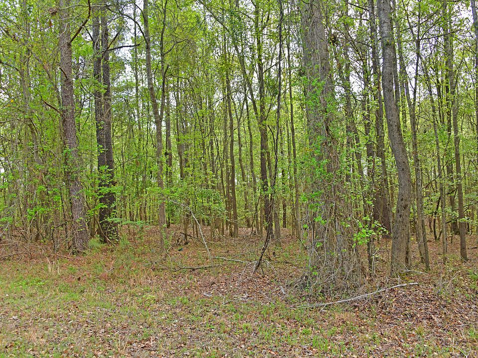 2nd image of 0 Ridgelake Cir Lot 35