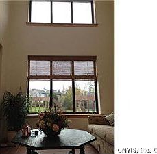 5th image of 8229 Honeysuckle Dr