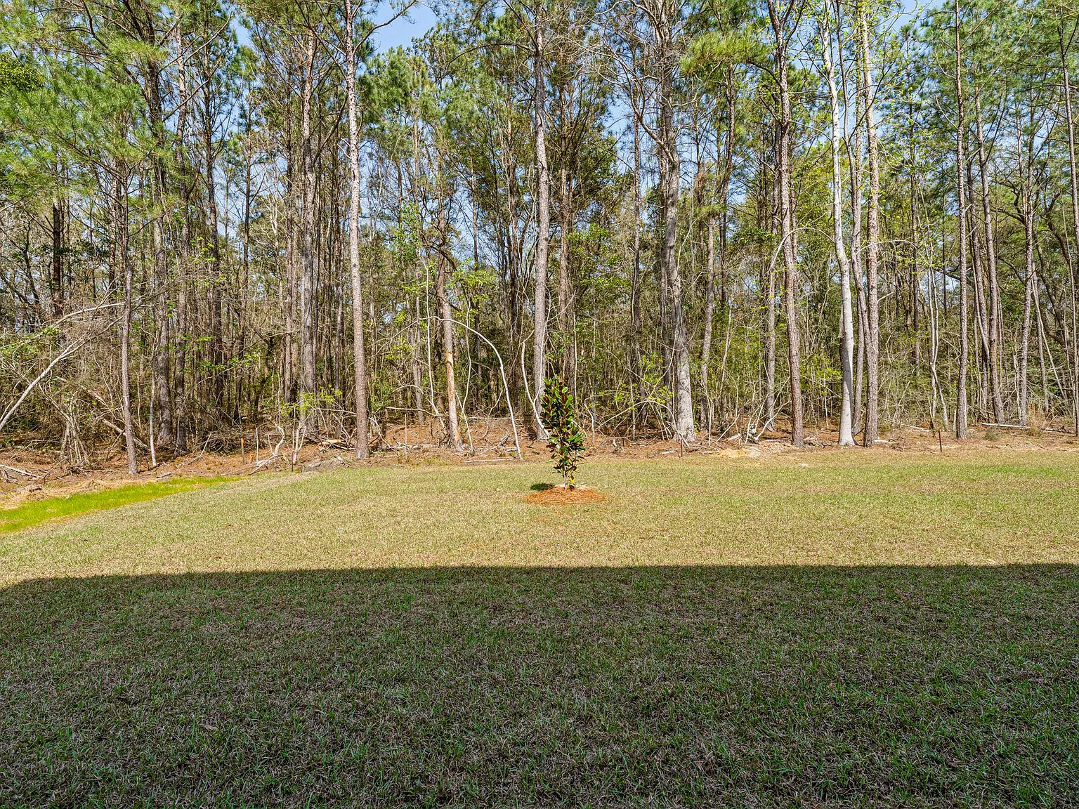 Eula Cove | Mississippi Gulf Coast Living — Photo 4