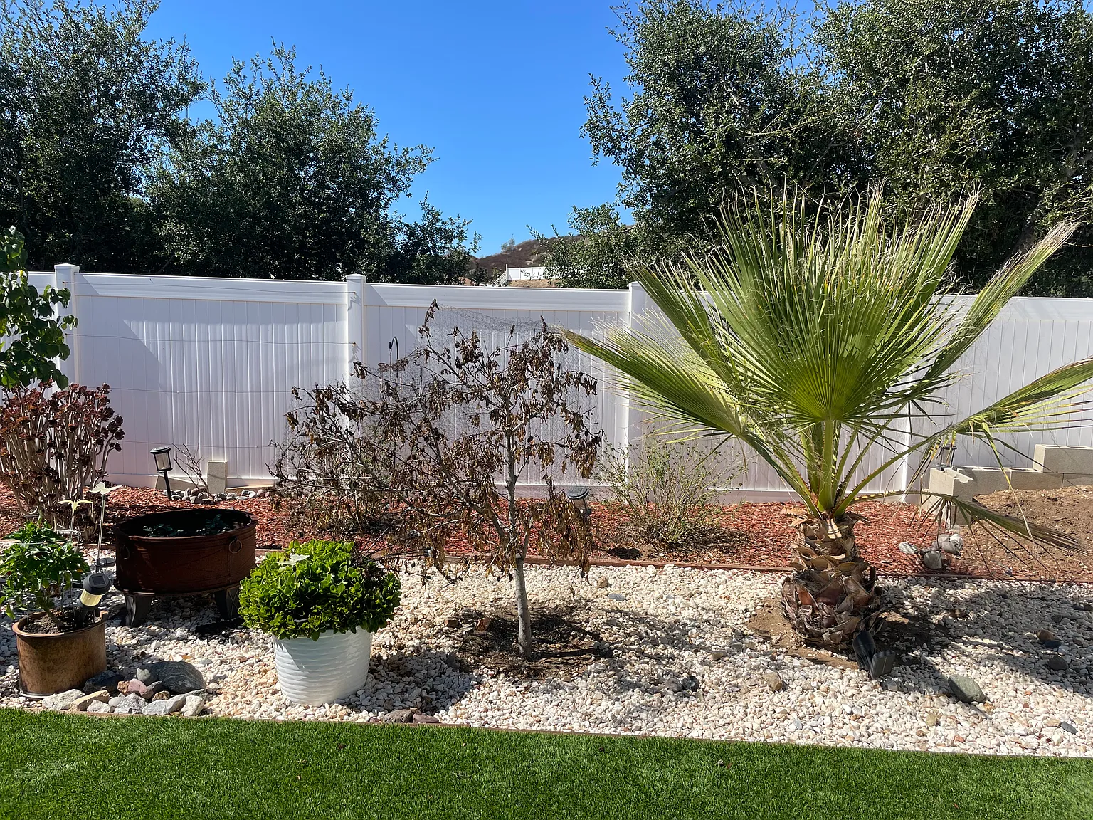 3 bed, 1607 sqft, $1,050 — Photo 4
