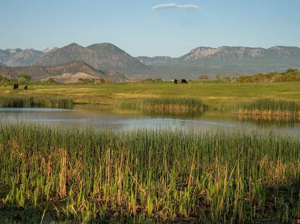 4369 Cattle Drive, Crawford, CO 81415