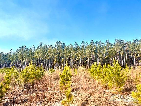4th image of LOT 9 Rs Hwy #182