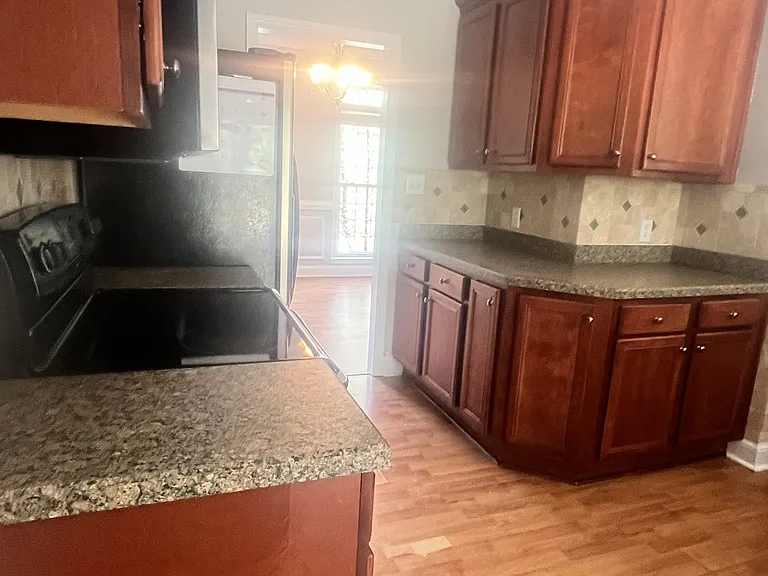 529 Carolina Way — Photo 10
