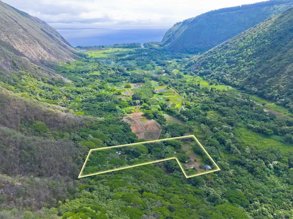 20 Waipio Valley Rd Lot D, Honokaa, HI 96727