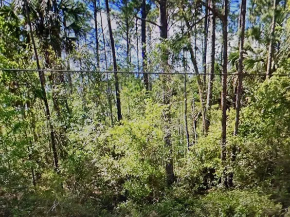 2184 Laurel Ave, Bunnell, FL 32110