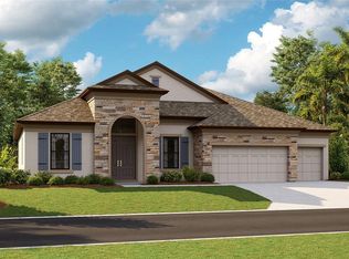 4562 Shoreleaf Loop, Valrico, FL 33596