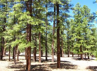 15 Cottonwood Loop, Ramah, NM 87321