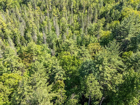 0 Ridge Top Rd, Jay, NY 12941