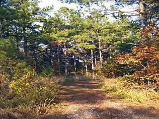 2nd image of Pine Grove Rd