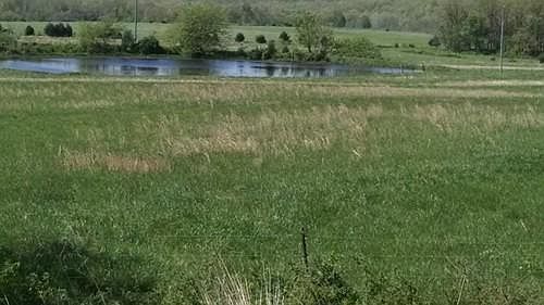 2nd image of Sparkle Brook Road