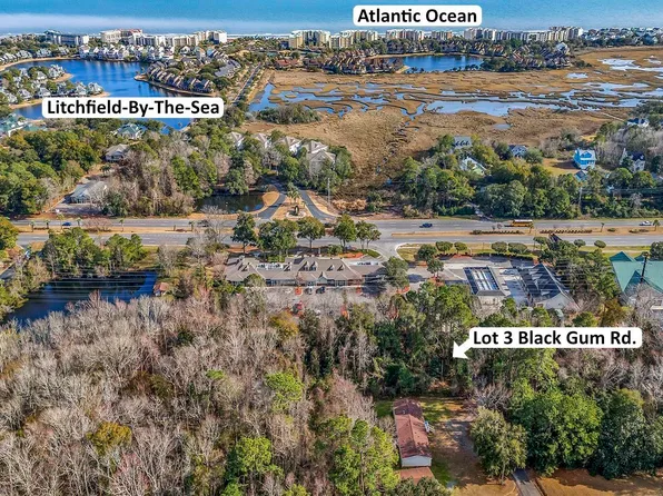 Lot 3 Black Gum Rd. 3.3 Acre Lot with Road Frontage on Black Gum Rd., Pawleys Island, SC 29585