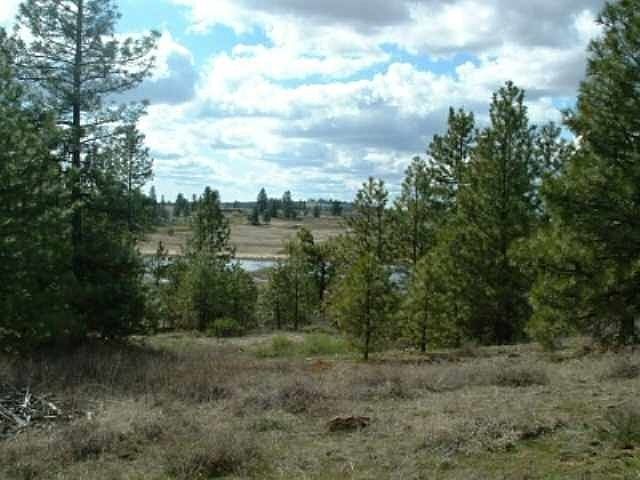 2nd image of 2801 W Martha Ln