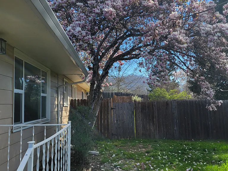 911 NE Campus Dr — Photo 2