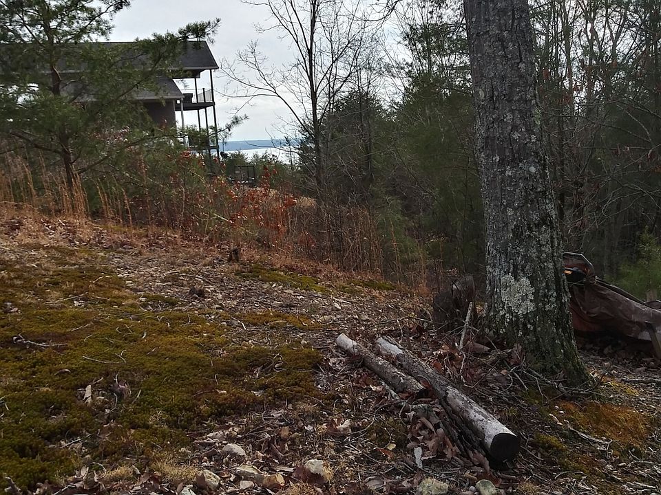 0 Turtle Point Ln Waverly TN Zillow