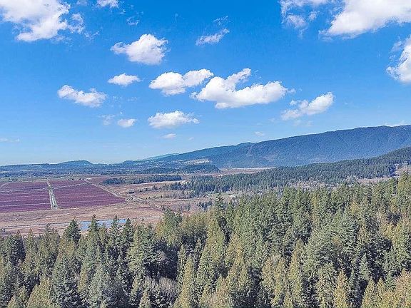 5th image of 23215 141st Ave