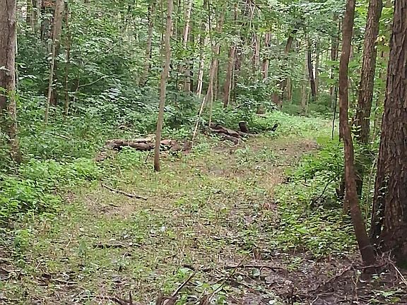 4th image of 1076 N Country Club Rd