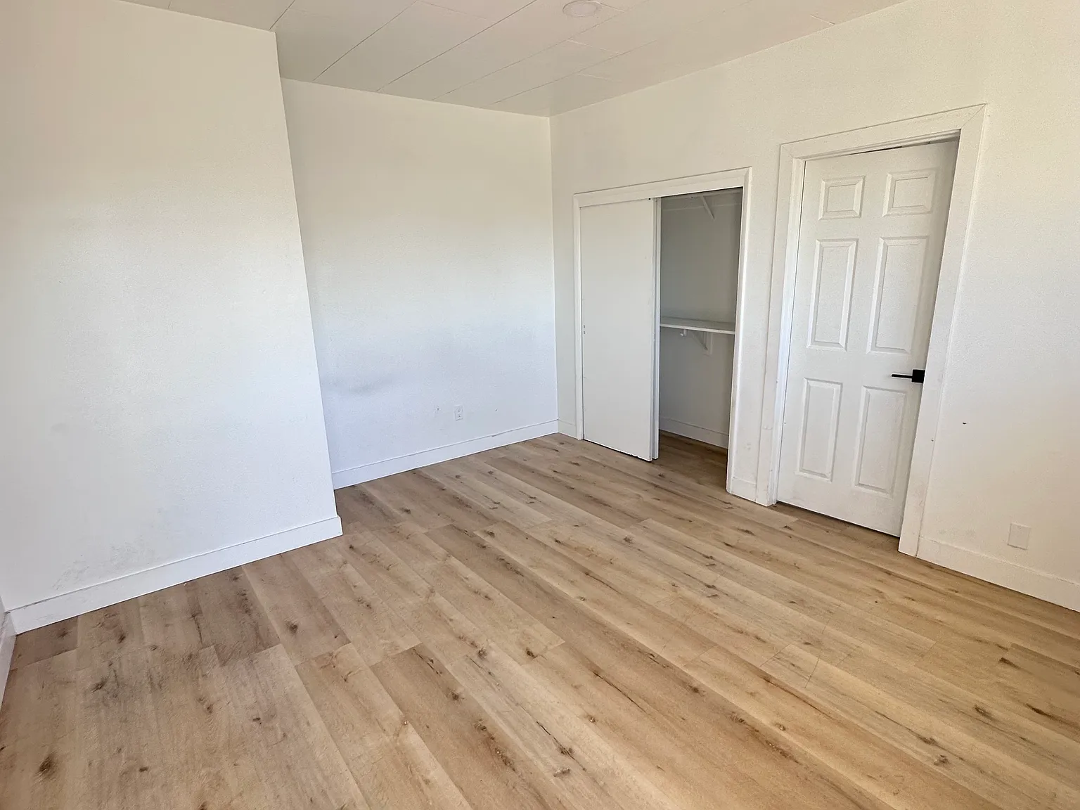 1 bed, 700 sqft, $1,300 — Photo 3