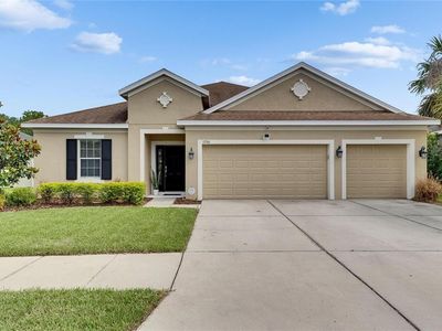 17516 Bright Wheat Dr, Lithia, FL, 33547
