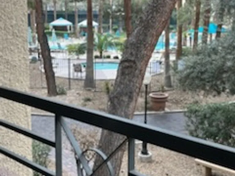260 E Flamingo Rd #115 — Photo 16