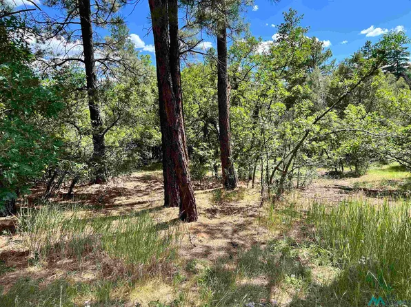 LOT 14 Brazos, Chama, NM 87520