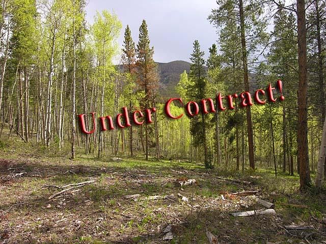 1st image of 2154 Wildberry