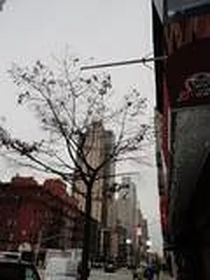 Rented by Prince Real Estate Associates LLC | media 23