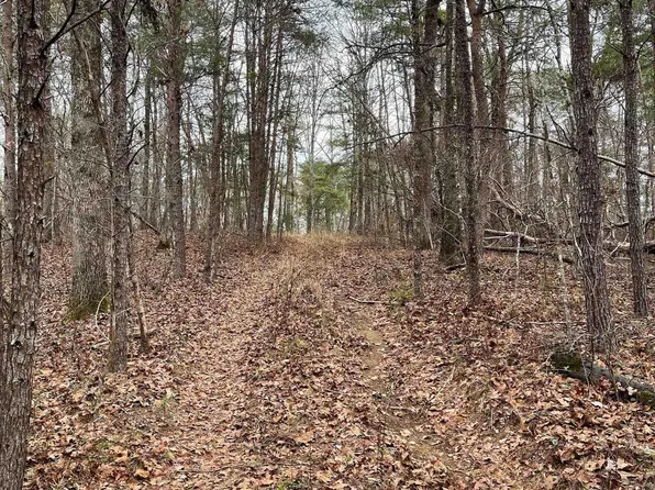 LOT 1 Richard Porter Dr #1, Shelby, AL 35143