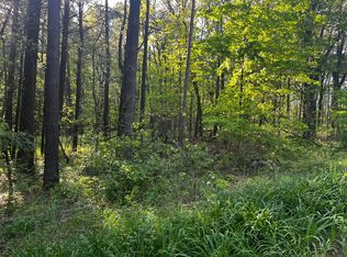 PARCEL Ivan Rd #A, Saranac, MI 48881