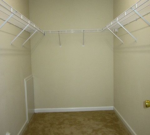 Gigantic Walk-In Closet in Master