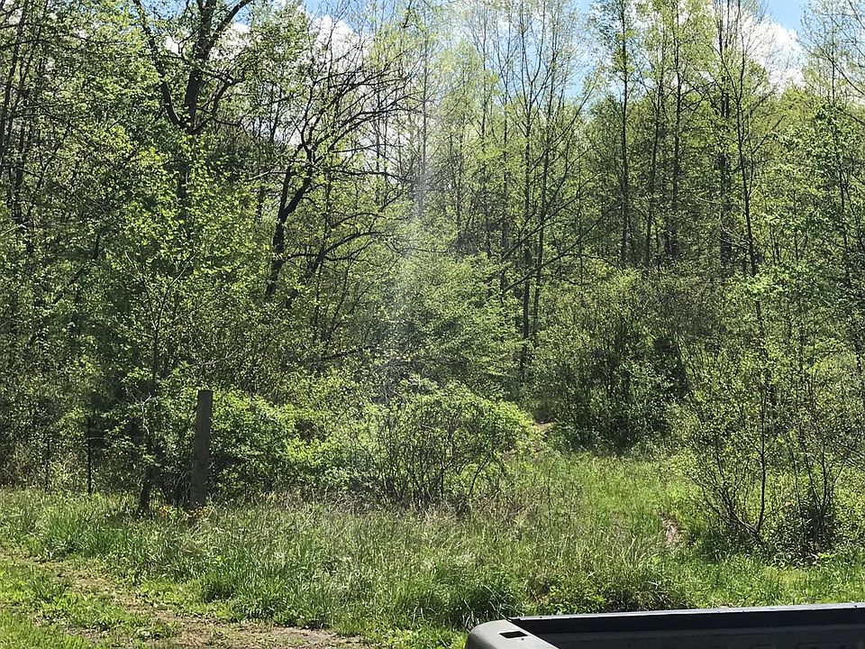 2nd image of 1000 Terrells Creek Rd